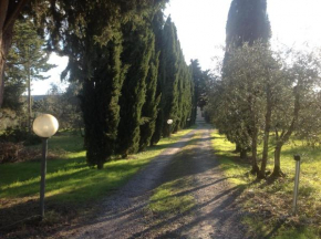 Sunshine Suites, Florence